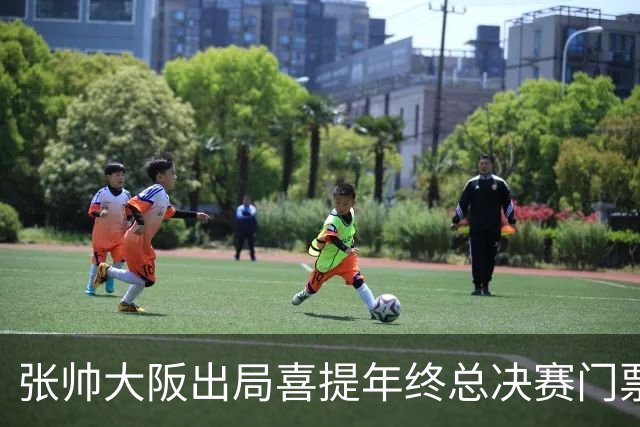 张帅大阪出局喜提年终总决赛门票，梅总不满中网处罚向ATP上诉