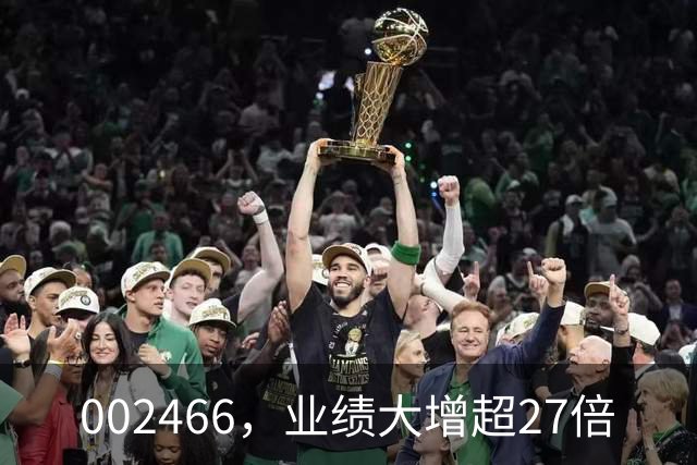 002466，业绩大增超27倍